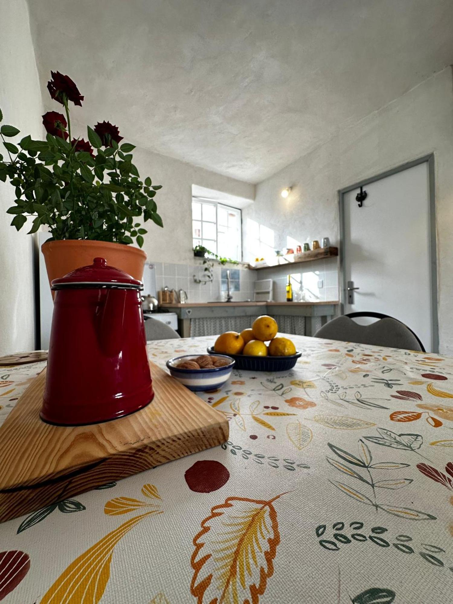 Casa Trilho The Gaios Bed and Breakfast Tábua Exteriör bild